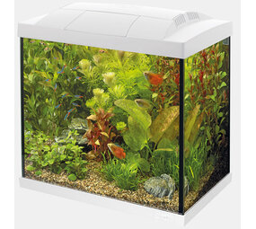 Superfish Start 30 Tropical Kit Weiß Superfish Start 30 Tropical Kit Weiß