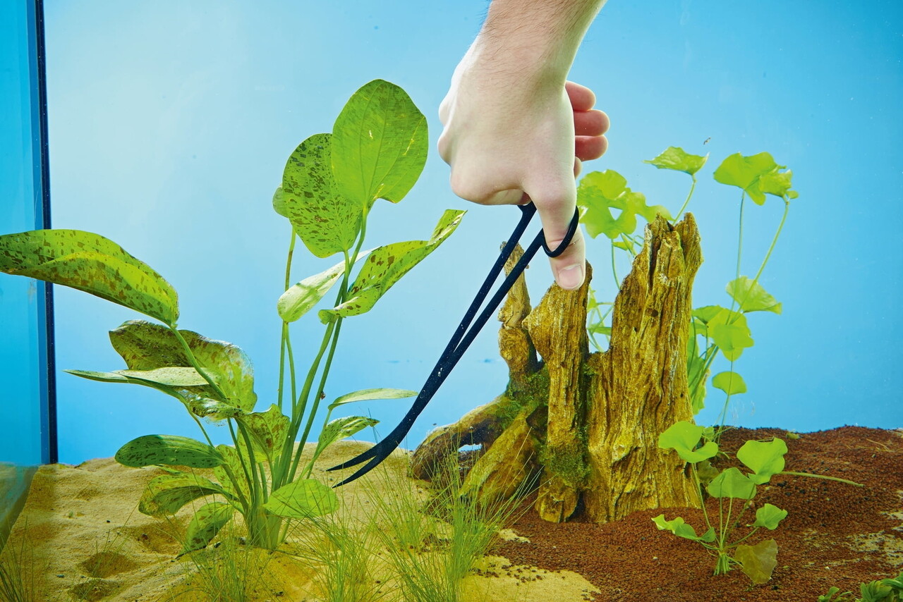 Oase Pflanzenschere Oase Pflanzenschere