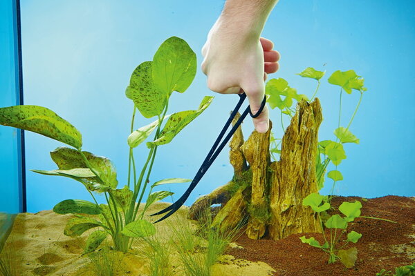 Oase Pflanzenschere Oase Pflanzenschere