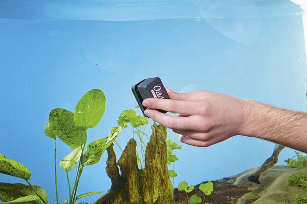 Oase Magnetischer Scheibenreiniger 5 mm Oase Magnetischer Scheibenreiniger 5 mm