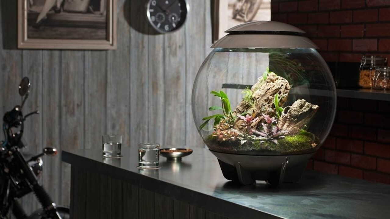 biOrb Air 30 Schwarz biOrb Air 30 Schwarz