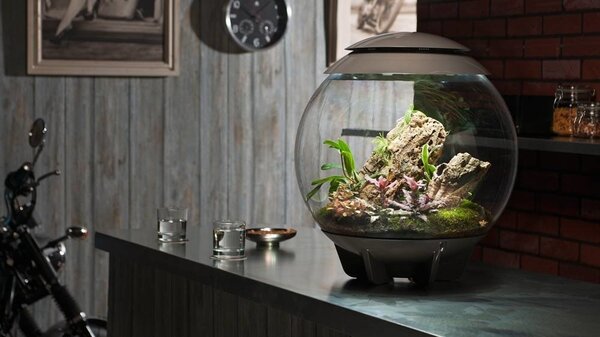 biOrb Air 30 Grau biOrb Air 30 Grau