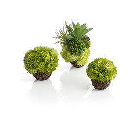 biOrb Korallenball Set grün