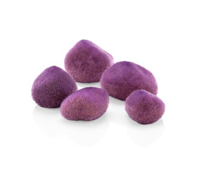 biOrb Lila Ozeankiesel biOrb Lila Ozeankiesel