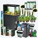 Oase StyleLine 175 Schwarz Pro Set