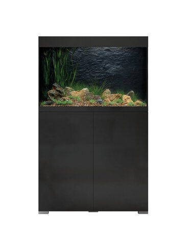 Oase StyleLine 175 Schwarz Pro Set