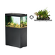 Oase StyleLine 175 Set Schwarz