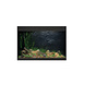 Oase StyleLine 175 Aquarium Schwarz Oase StyleLine 175 Aquarium Schwarz