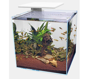 Superfish Qubiq 60 Pro Weiß