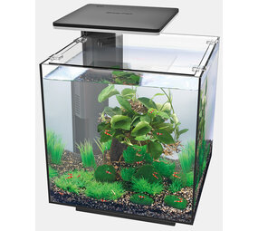 Superfish Qubiq 30 Pro Schwarz Superfish Qubiq 30 Pro Schwarz