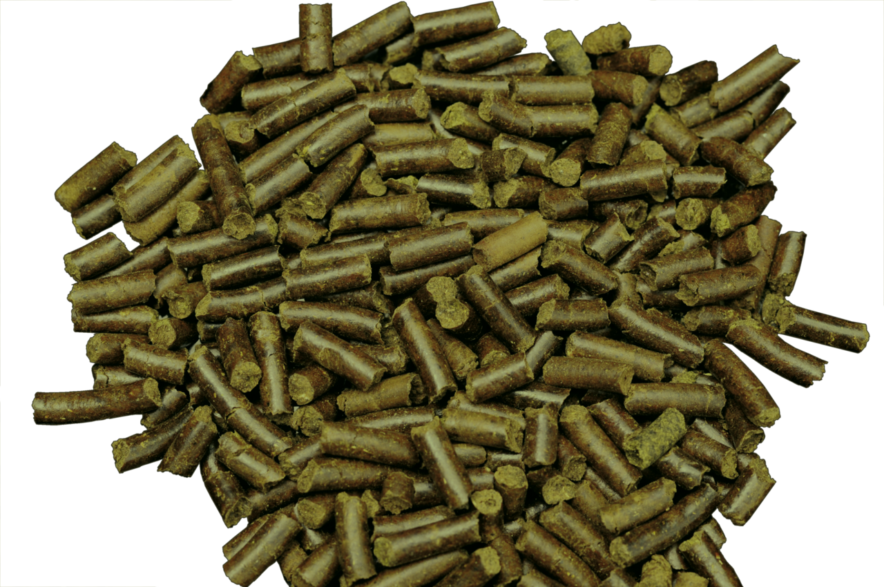 Dennerle Shrimp King Schnecken Stixx 45g