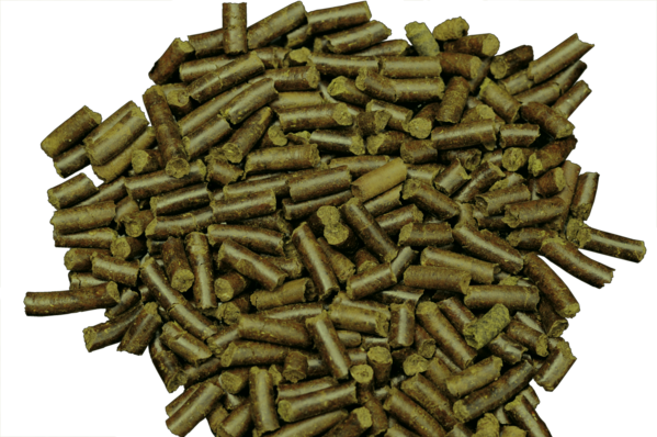 Dennerle Shrimp King Schnecken Stixx 45g