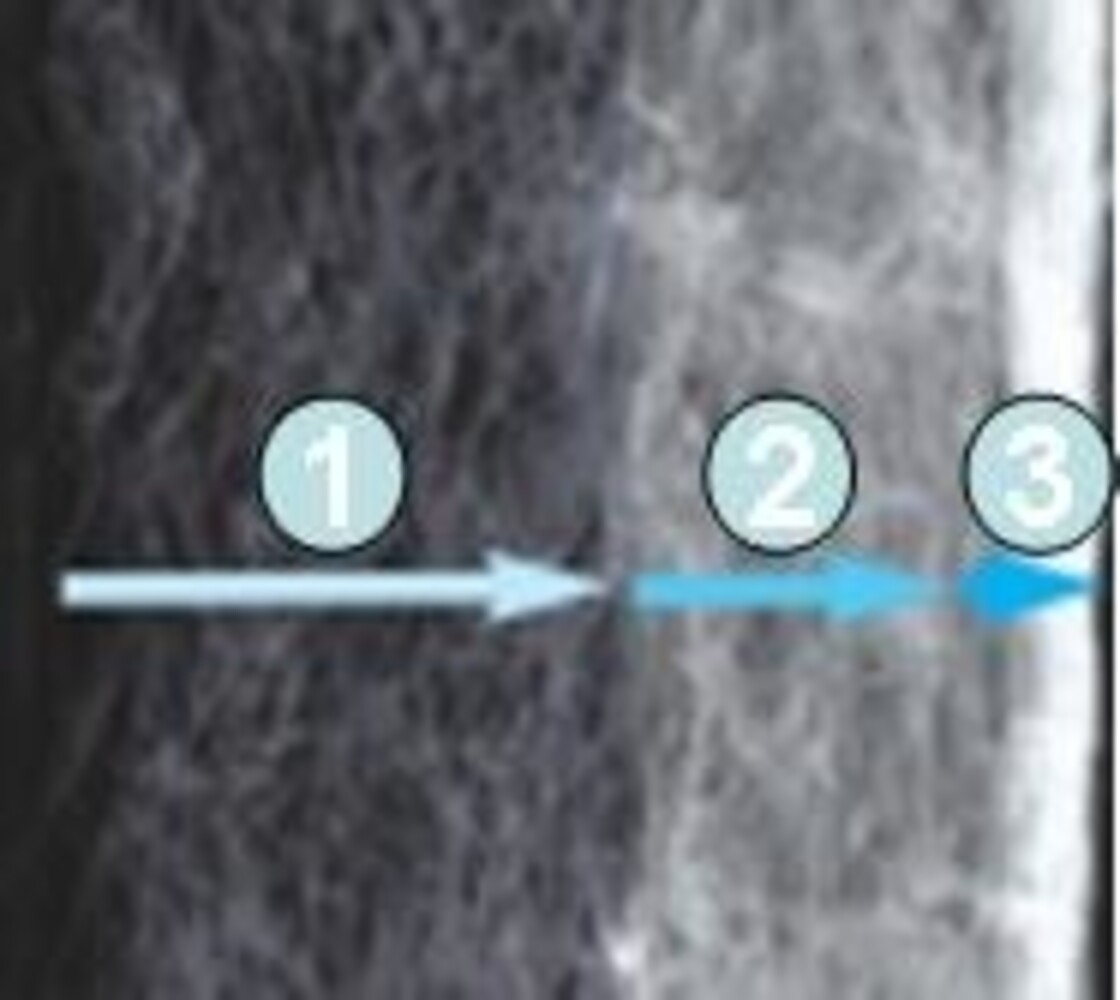 Dennerle Nano Clean Ersatzfilter Dennerle Nano Clean Ersatzfilter