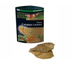 Dennerle Nano Catappa Blätter 12 St