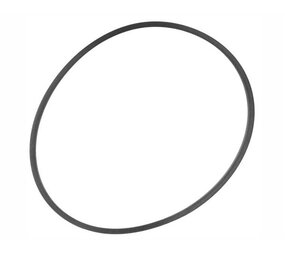 Dennerle O-Ring Für Dennerle Skimfilter Dennerle O-Ring Für Dennerle Skimfilter