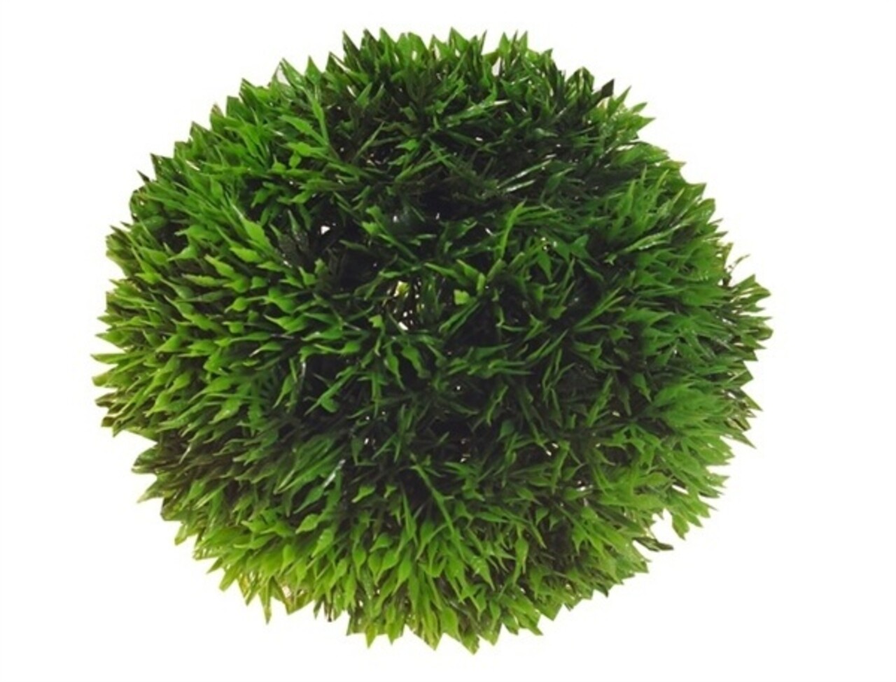 Hobby Aqua Plant Bal 9cm Hobby Aqua Plant Bal 9cm
