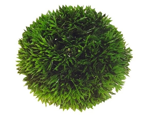 Hobby Aqua Plant Bal 9cm Hobby Aqua Plant Bal 9cm