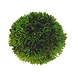 Hobby Aqua Plant Bal 9cm Hobby Aqua Plant Bal 9cm