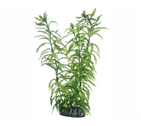Hobby Pflanze Heteranthera 25cm