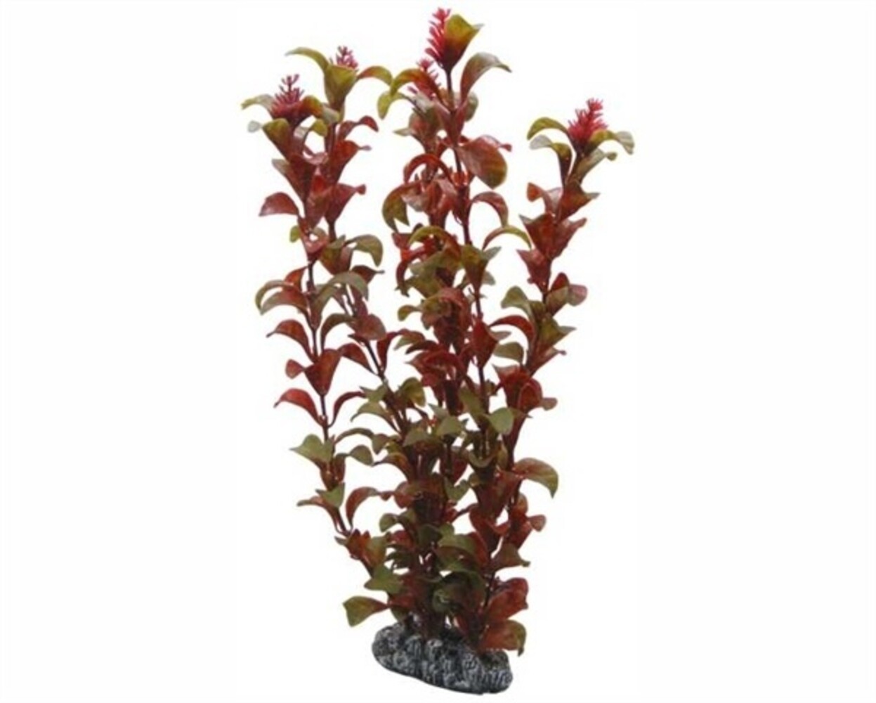 Hobby Pflanze Rotala 30cm