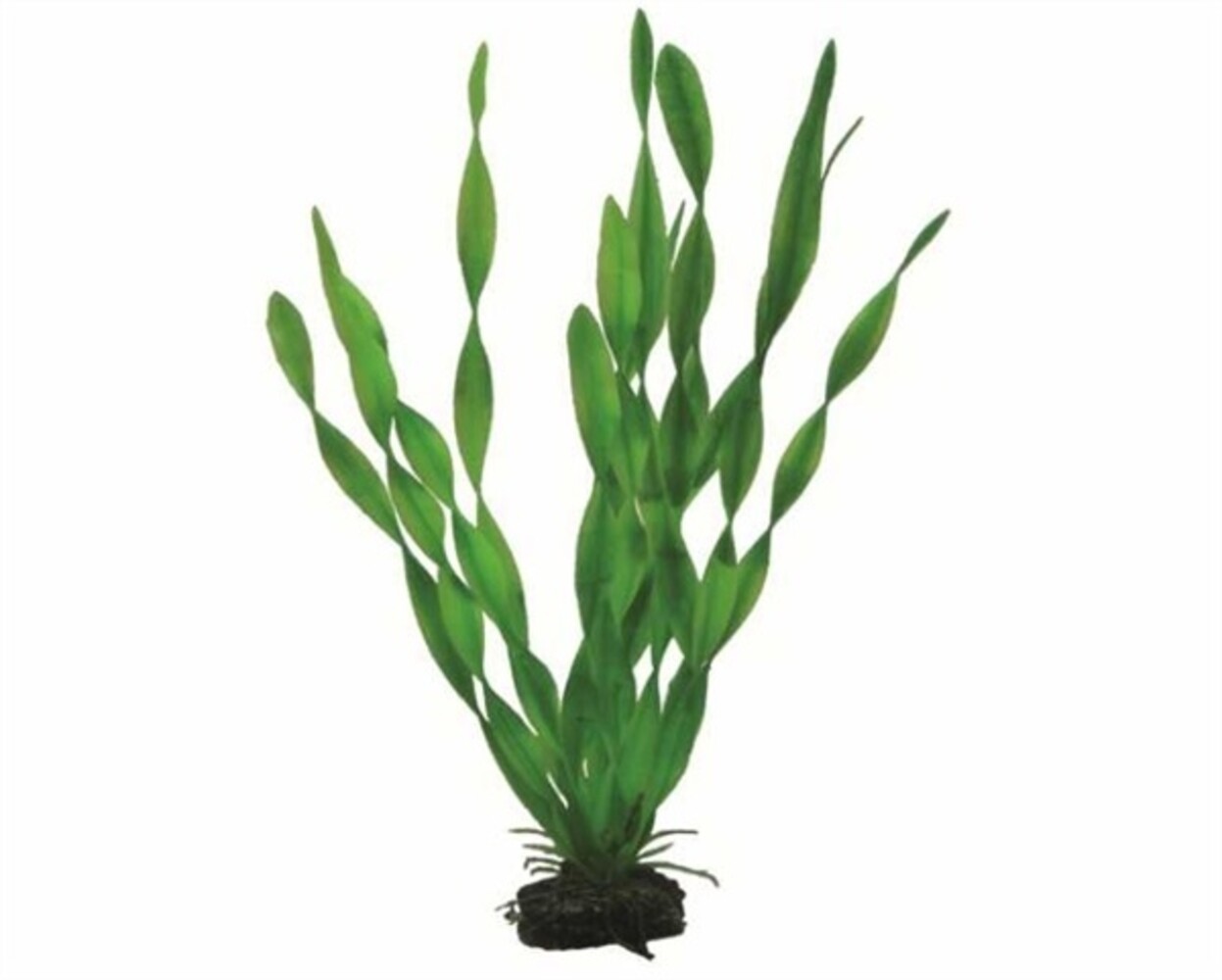 Hobby Pflanze Vallisneria 34cm Hobby Pflanze Vallisneria 34cm