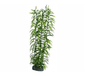 Hobby Pflanze Heteranthera 34cm