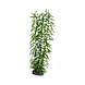 Hobby Pflanze Heteranthera 34cm Hobby Pflanze Heteranthera 34cm