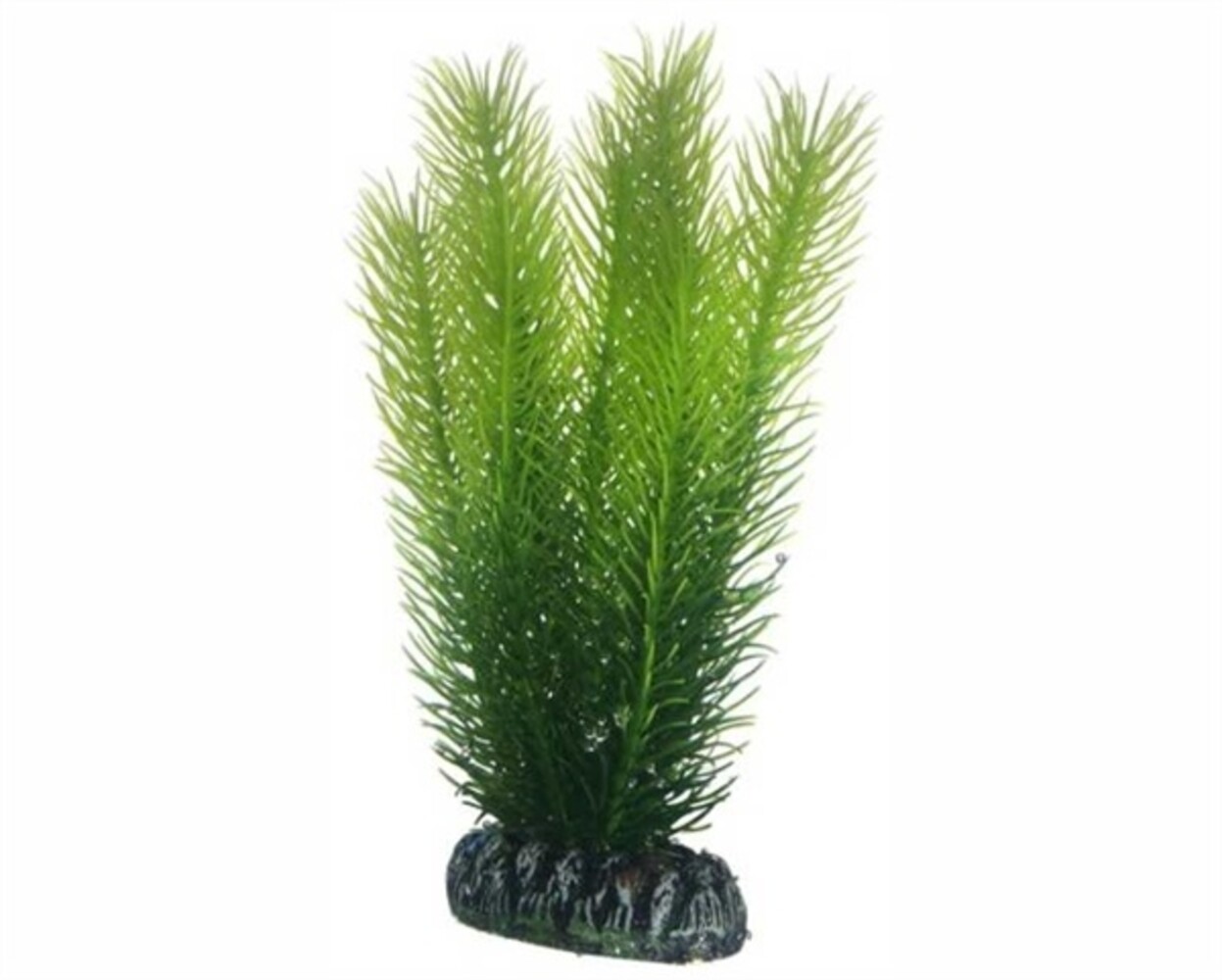 Hobby Pflanze Mayaca 16cm