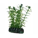 Hobby Pflanze Lagarosiphon 7cm Hobby Pflanze Lagarosiphon 7cm