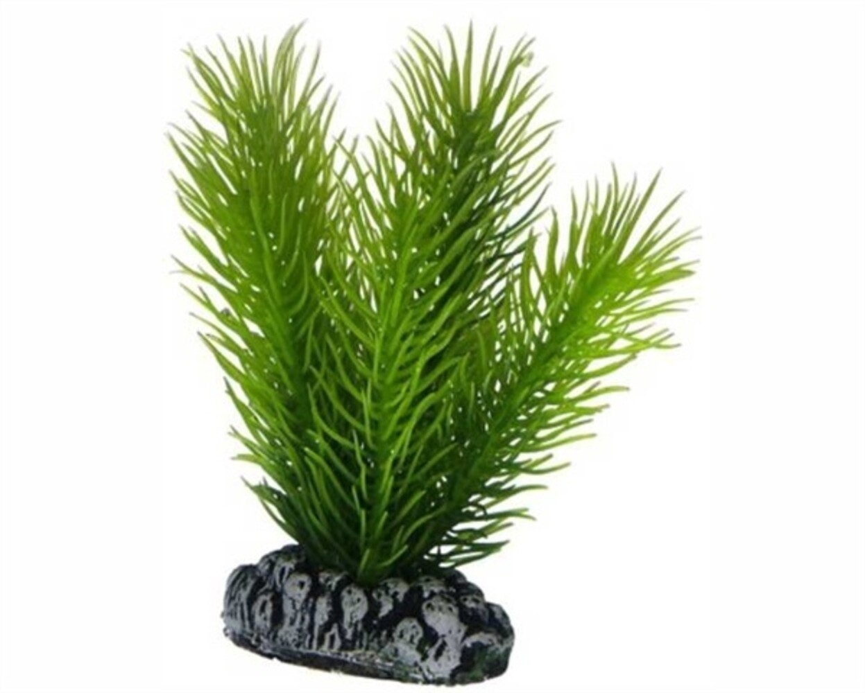 Hobby Pflanze Mayaca 7cm