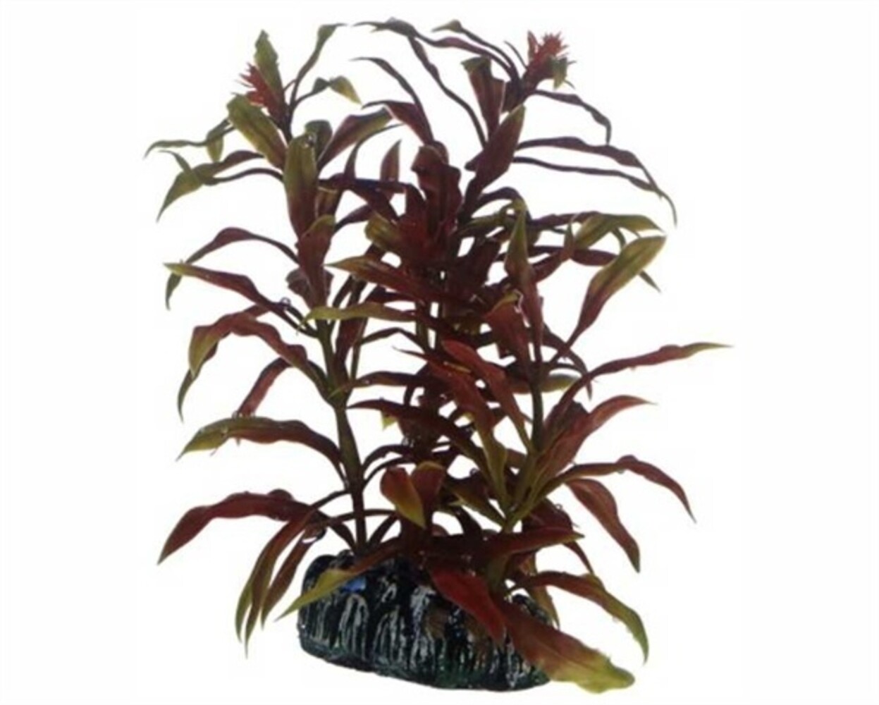 Hobby Pflanze Nesaea 13cm