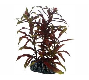 Hobby Pflanze Nesaea 13cm