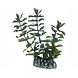 Hobby Pflanze Bacopa 13cm