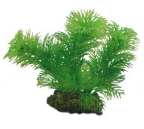 Hobby Pflanze Egeria 13cm Hobby Pflanze Egeria 13cm