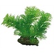 Hobby Pflanze Egeria 13cm Hobby Pflanze Egeria 13cm
