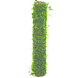Wasserpflanze Bambusstab mit Javamoos 20cm