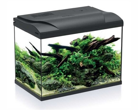 HS Aqua Aquarium Platy 50 LED Schwarz
