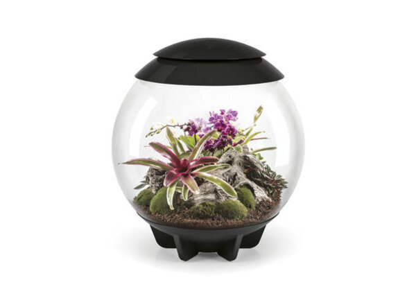 biOrb Air 60 Schwarz