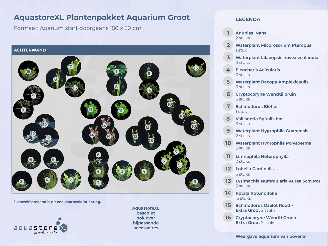 Waterplant Pflanzenpaket Extra Extra Groß Waterplant Pflanzenpaket Extra Extra Groß