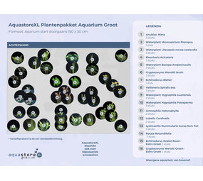 Waterplant Pflanzenpaket Extra Extra Groß Waterplant Pflanzenpaket Extra Extra Groß