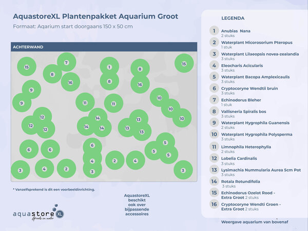Waterplant Pflanzenpaket Extra Extra Groß Waterplant Pflanzenpaket Extra Extra Groß