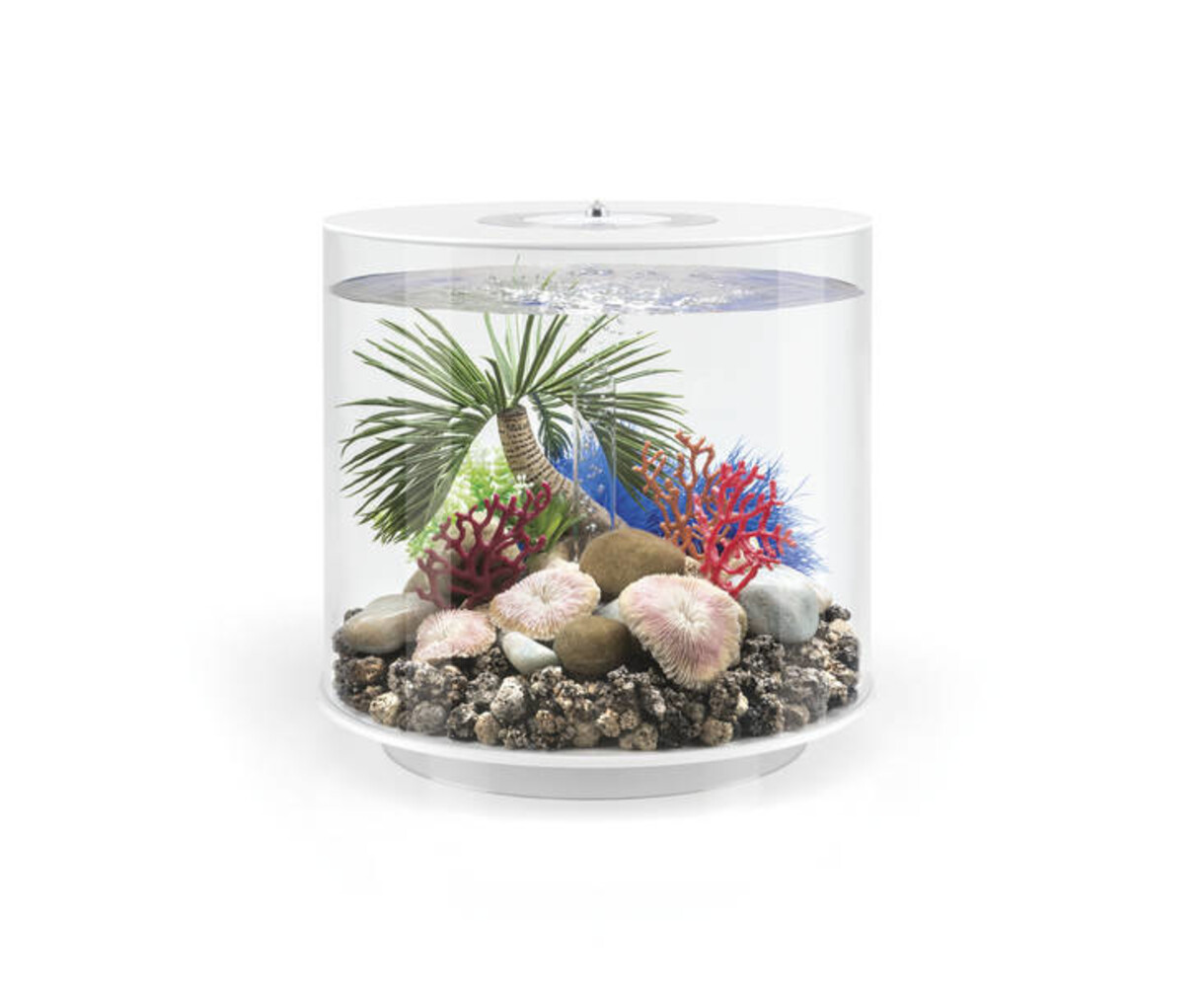 biOrb Plattenkorallen Set biOrb Plattenkorallen Set