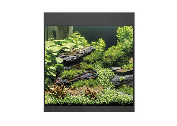 Oase StyleLine 85 Aquarium Schwarz Oase StyleLine 85 Aquarium Schwarz