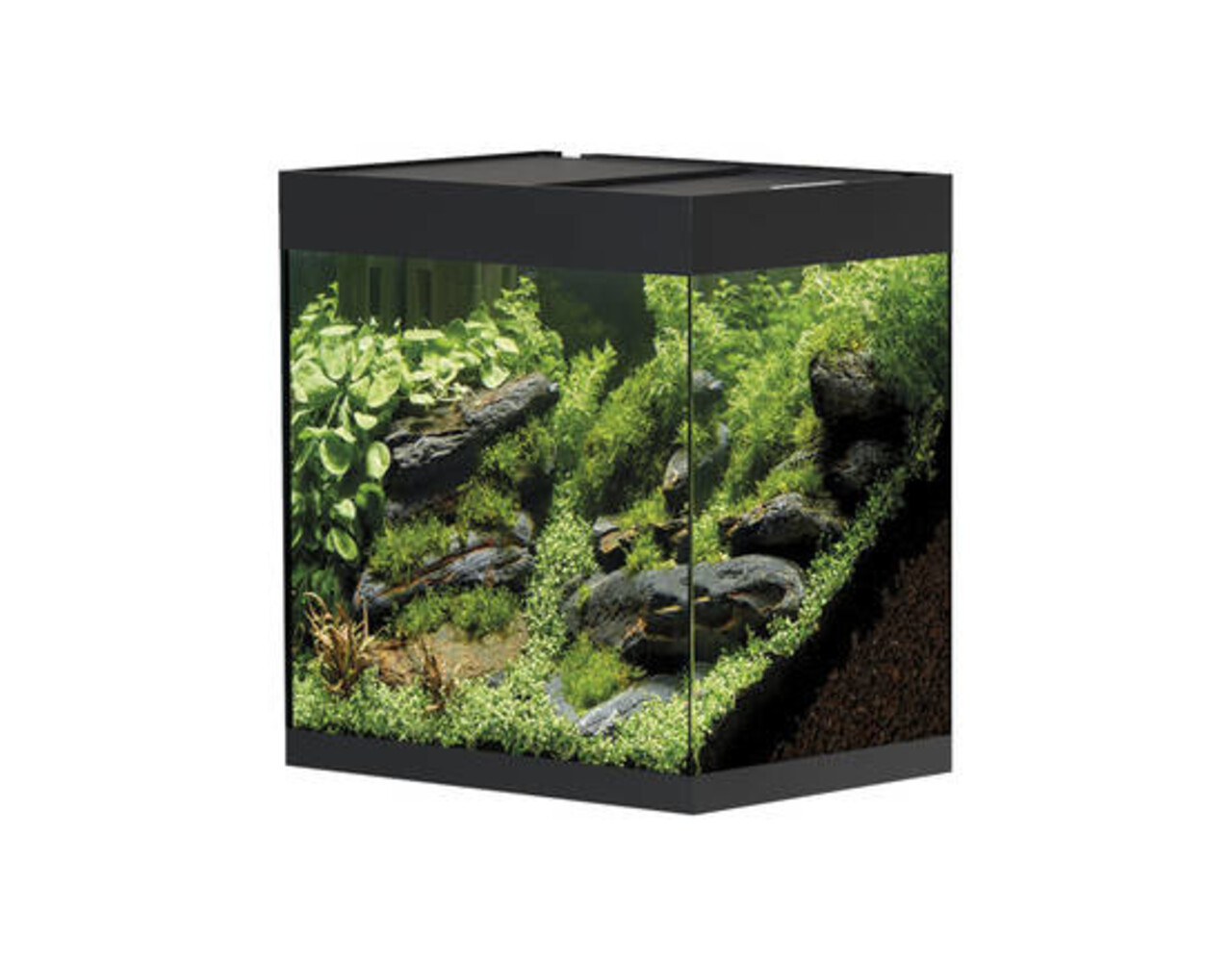 Oase StyleLine 85 Aquarium Schwarz Oase StyleLine 85 Aquarium Schwarz