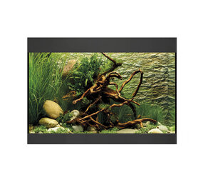 Oase StyleLine 125 Aquarium Schwarz Oase StyleLine 125 Aquarium Schwarz