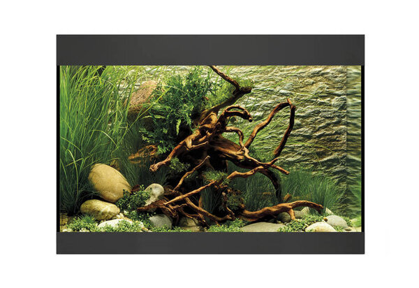 Oase StyleLine 125 Aquarium Schwarz Oase StyleLine 125 Aquarium Schwarz