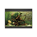 Oase StyleLine 125 Aquarium Schwarz Oase StyleLine 125 Aquarium Schwarz