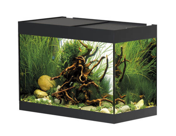 Oase StyleLine 125 Aquarium Schwarz Oase StyleLine 125 Aquarium Schwarz