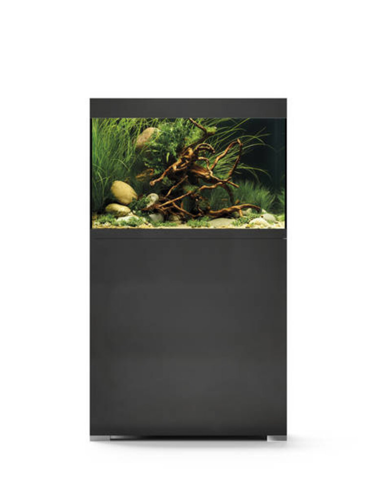 Oase StyleLine 125 Set Schwarz