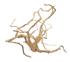 HS Aqua Spider Wood L